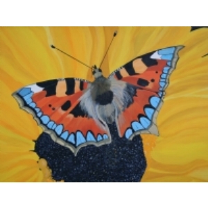Butterfly on Daisy Print.